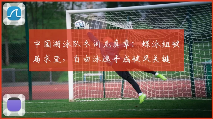 中国游泳队冬训见真章：蝶泳组破局求变，自由泳选手成破风关键