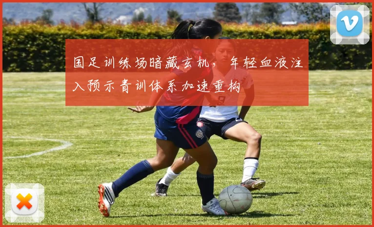 国足训练场暗藏玄机，年轻血液注入预示青训体系加速重构