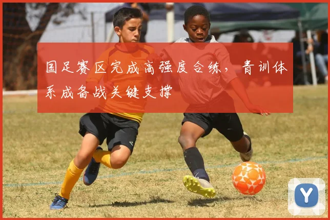 国足赛区完成高强度合练，青训体系成备战关键支撑